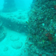 Illustration for article titled Underwater cemetery looks like the ruins of the lost city of Atlantis